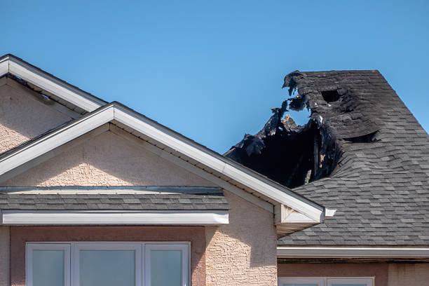 Top rated local Fire Board Up specialists in Pflugerville, TX